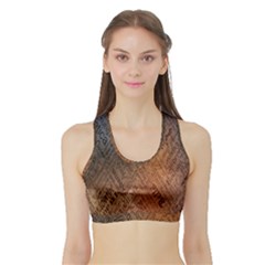 Typography Sports Bra With Border