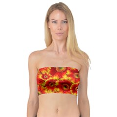 Gerbera Flowers Blossom Bloom Bandeau Top by Nexatart