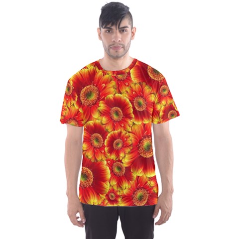 Gerbera Flowers Blossom Bloom Men s Sport Mesh Tee by Nexatart