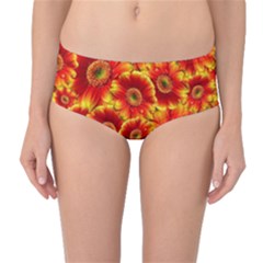 Gerbera Flowers Blossom Bloom Mid-waist Bikini Bottoms by Nexatart