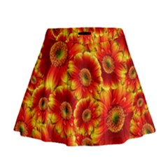 Gerbera Flowers Blossom Bloom Mini Flare Skirt by Nexatart