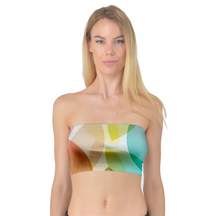 Rainbow feather Bandeau Top