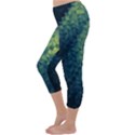 Gradiant blue Capri Winter Leggings  View2