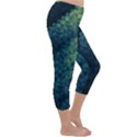 Gradiant blue Capri Winter Leggings  View3