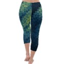 Gradiant blue Capri Winter Leggings  View4