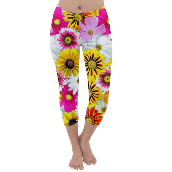 Flowers Blossom Bloom Nature Plant Capri Winter Leggings 