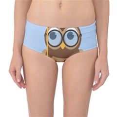 Read Owl Book Owl Glasses Read Mid-waist Bikini Bottoms by Nexatart