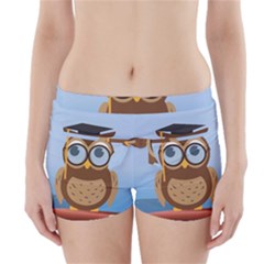 Read Owl Book Owl Glasses Read Boyleg Bikini Wrap Bottoms by Nexatart