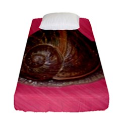 Snail Pink Background Fitted Sheet (single Size)