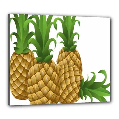 Pineapples Tropical Fruits Foods Canvas 24  X 20 