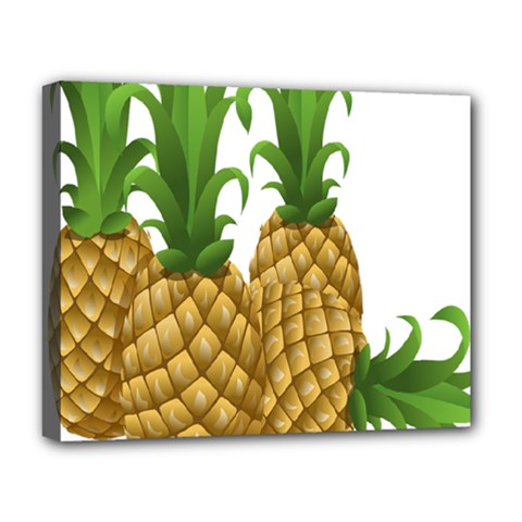 Pineapples Tropical Fruits Foods Deluxe Canvas 20  X 16  