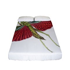 Grasshopper Insect Animal Isolated Fitted Sheet (full/ Double Size)