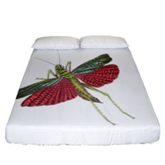 Grasshopper Insect Animal Isolated Fitted Sheet (california King Size)