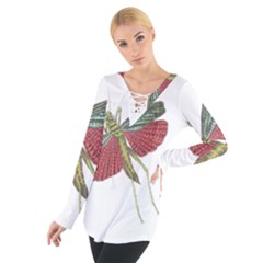 Grasshopper Insect Animal Isolated Women s Tie Up Tee by Nexatart