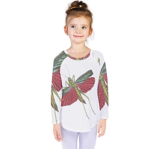 Grasshopper Insect Animal Isolated Kids  Long Sleeve Tee by Nexatart