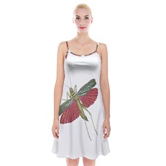 Grasshopper Insect Animal Isolated Spaghetti Strap Velvet Dress by Nexatart