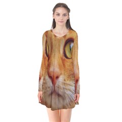 Cat Red Cute Mackerel Tiger Sweet Flare Dress