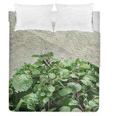 Plants Against Concrete Wall Background Duvet Cover Double Side (queen Size)