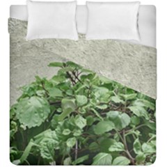 Plants Against Concrete Wall Background Duvet Cover Double Side (King Size)