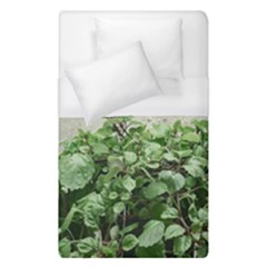 Plants Against Concrete Wall Background Duvet Cover (single Size)