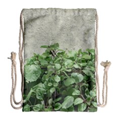 Plants Against Concrete Wall Background Drawstring Bag (large) by dflcprints