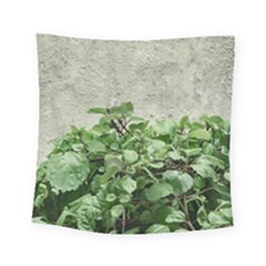 Plants Against Concrete Wall Background Square Tapestry (Small)