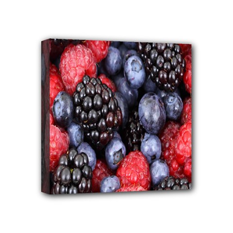 Forest Fruit Mini Canvas 4  X 4  by Nexatart