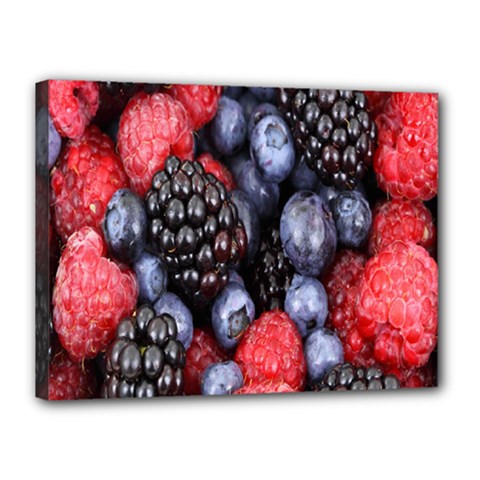 Forest Fruit Canvas 16  X 12  by Nexatart