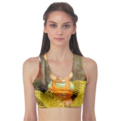 Easter Hare Easter Bunny Sports Bra