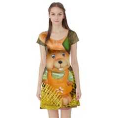 Easter Hare Easter Bunny Short Sleeve Skater Dress by Nexatart