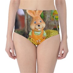 Easter Hare Easter Bunny High-waist Bikini Bottoms