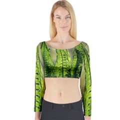 Fern Ferns Green Nature Foliage Long Sleeve Crop Top