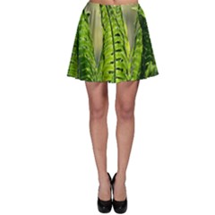 Fern Ferns Green Nature Foliage Skater Skirt by Nexatart