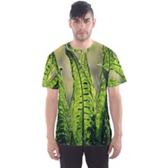 Fern Ferns Green Nature Foliage Men s Sport Mesh Tee