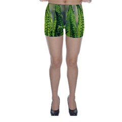 Fern Ferns Green Nature Foliage Skinny Shorts