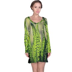 Fern Ferns Green Nature Foliage Long Sleeve Nightdress