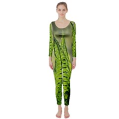 Fern Ferns Green Nature Foliage Long Sleeve Catsuit