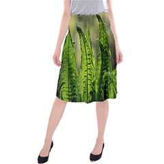 Fern Ferns Green Nature Foliage Midi Beach Skirt by Nexatart