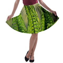 Fern Ferns Green Nature Foliage A-line Skater Skirt by Nexatart