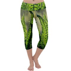 Fern Ferns Green Nature Foliage Capri Yoga Leggings