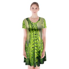 Fern Ferns Green Nature Foliage Short Sleeve V-neck Flare Dress