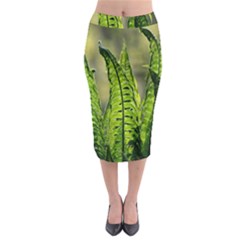 Fern Ferns Green Nature Foliage Midi Pencil Skirt by Nexatart