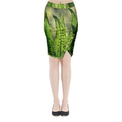 Fern Ferns Green Nature Foliage Midi Wrap Pencil Skirt by Nexatart