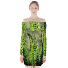 Fern Ferns Green Nature Foliage Long Sleeve Off Shoulder Dress