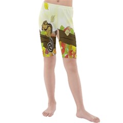 Squirrel Kids  Mid Length Swim Shorts by Nexatart