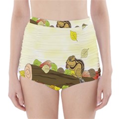 Squirrel High-waisted Bikini Bottoms