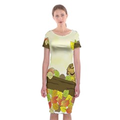 Squirrel Classic Short Sleeve Midi Dress by Nexatart