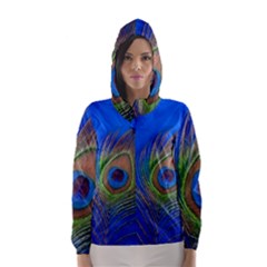 Blue Peacock Feather Hooded Wind Breaker (Women)