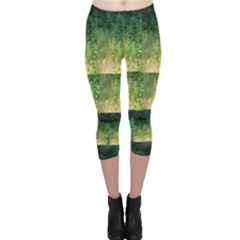 Greenery And Black-eyed Susans Capri Leggings  by SusanFranzblau