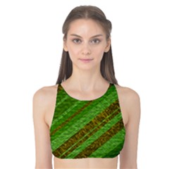 Stripes Course Texture Background Tank Bikini Top